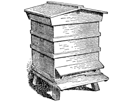 Carniolan breeders