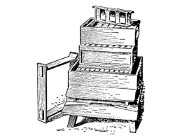 LR, DB and AŽ Carnica nucs